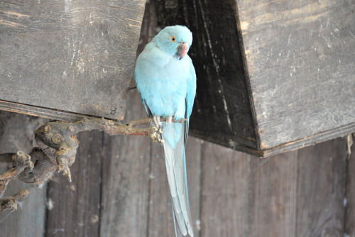 World of Birds Wildlife Sanctuary.